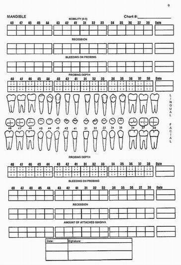 free-printable-blank-perio-chart-printable-word-searches-rezfoods