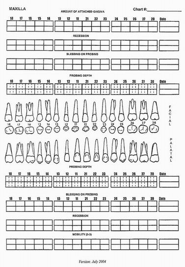 perio charting worksheet dolap magnetband co perio charting sheets