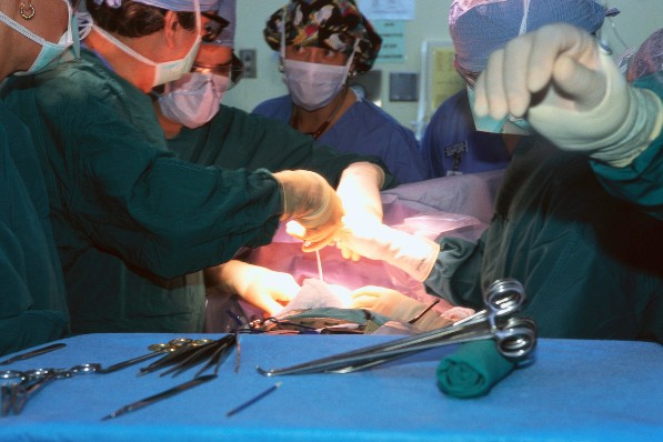 Organ Transplants Cellular Memory Proves Major Organs Have Self-Contained Brains?